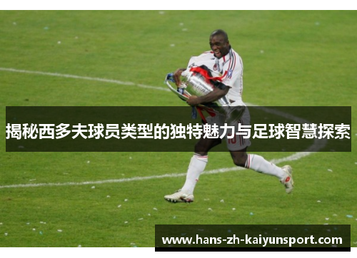 揭秘西多夫球员类型的独特魅力与足球智慧探索