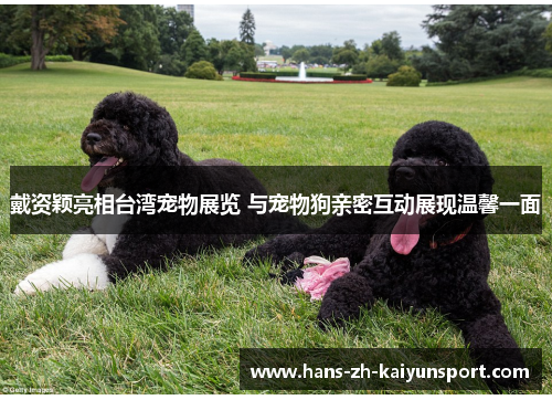 戴资颖亮相台湾宠物展览 与宠物狗亲密互动展现温馨一面